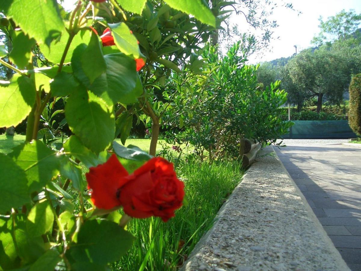 Hotel Villa Verde Torbole Sul Garda Εξωτερικό φωτογραφία